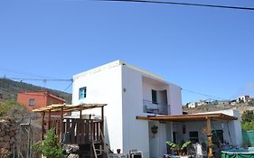 studio canario